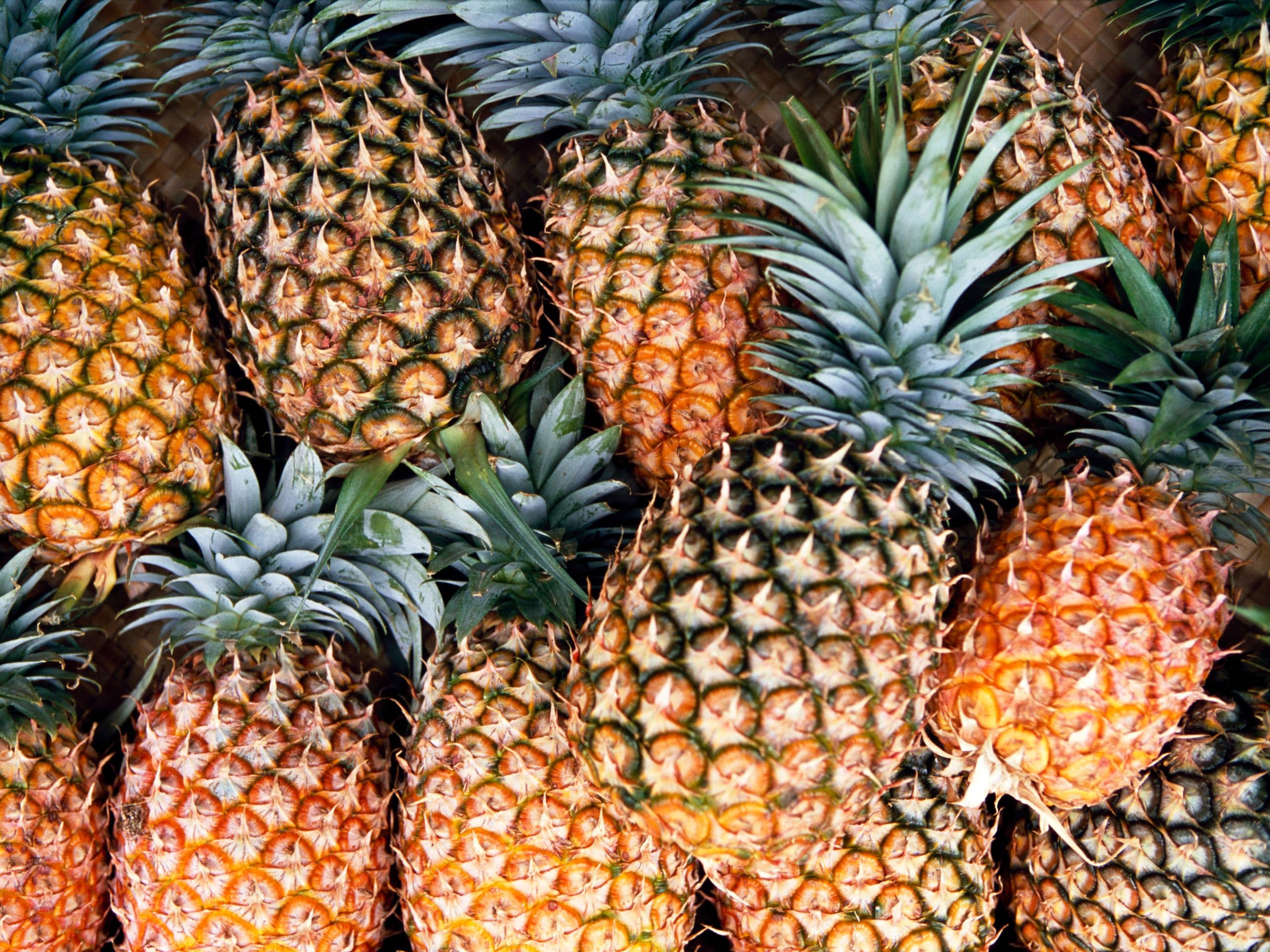 Ananas sucrés et juteux – Arrivage frais !